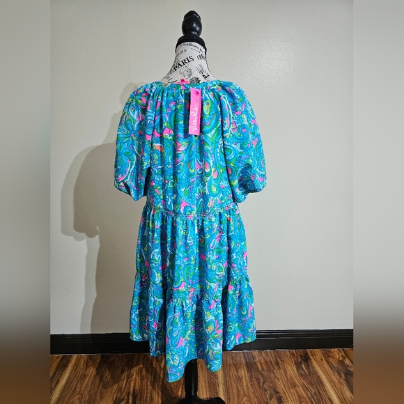 NWT Lilly Pulitzer Shannon Short Sleeve Dress Size L - Picture 3 of 7